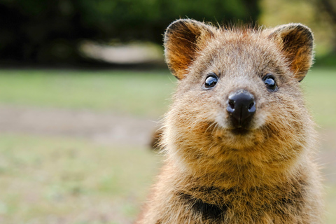 蓝山之旅：风景世界、翎羽谷（最多10人）蓝山之旅：风景世界、翎羽谷（含接送）
