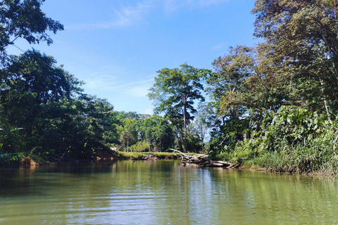 Private Kayaking Adventure: a 2-hour Wildlife Escape Self-Guided Kayaking Adventure: a 2-hour Wildlife Escape