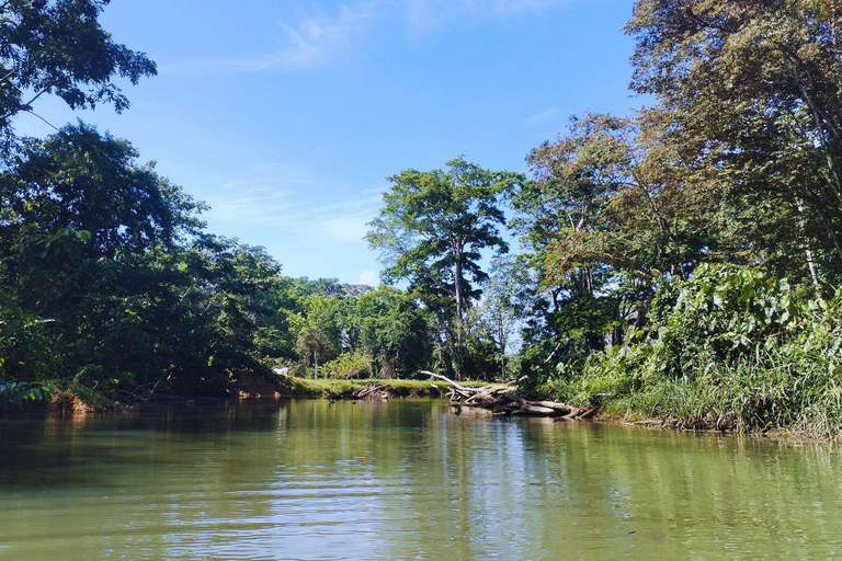 Private Kayaking Adventure: a 2-hour Wildlife Escape Self-Guided Kayaking Adventure: a 2-hour Wildlife Escape