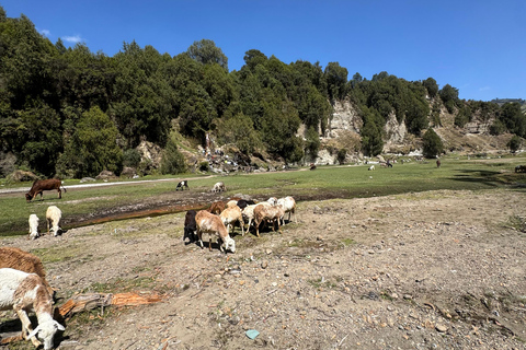 Addis Ababa: Gondar, Gorgora, and Bahir Dar 6-Day Tour