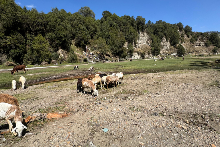 Addis Ababa: Gondar, Gorgora, and Bahir Dar 6-Day Tour