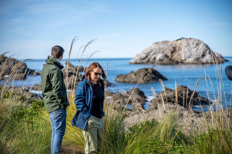 De Christchurch: Passeio de um dia em Kaikoura com cruzeiro guiado por golfinhos