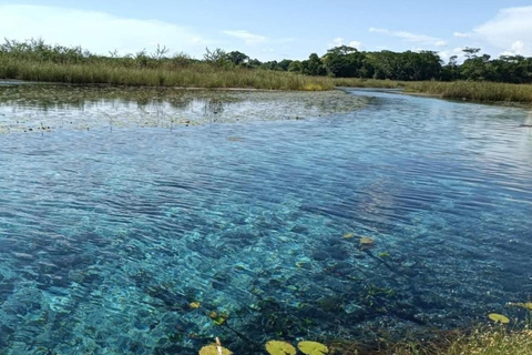 Campeche: Palenque, Sabancuy, & Palizada 2-Day Tour