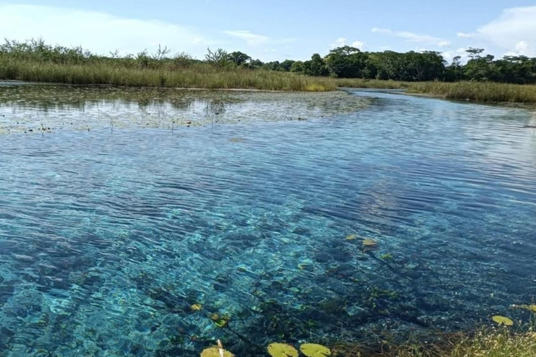 Campeche: Palenque, Sabancuy, & Palizada 2-Day Tour