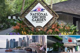 Halbtägige Sightseeing-Tour mit Führung durch den National Orchid Garden