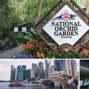 Half-day Sightseeing Guided Tour with National Orchid Garden Half-day Sightseeing Guided Tour with National Orchid Garden