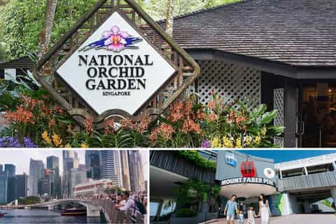 Half-day Sightseeing Guided Tour with National Orchid Garden - Image 3