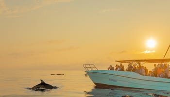 The BEST Can Picafort Tours and Things to Do in 2024 - FREE ...