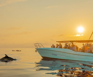 De Alcúdia: passeio de barco para observação de golfinhos ao nascer do sol
