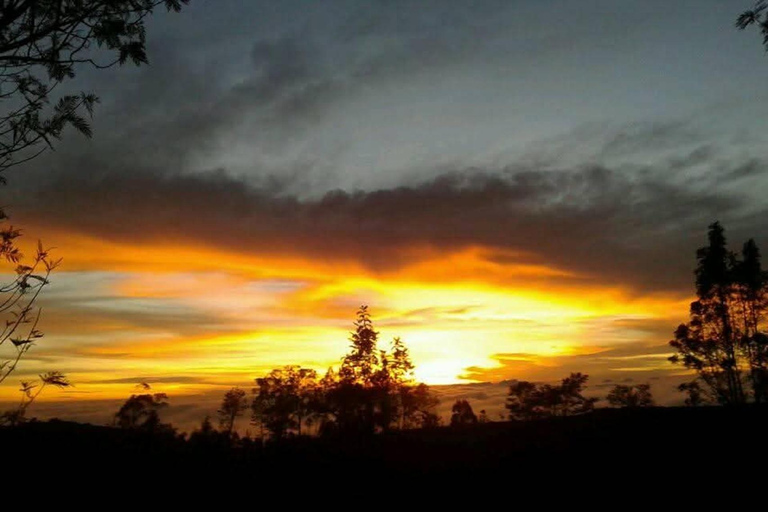 Lipton&#039;s Seat, Adisham Bungalow, excursão à fábrica de chá DambetennaDe Ella: Duas noites e três dias - Tour totalmente particular