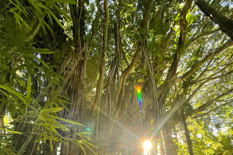 Waikiki: Verborgen Hawaii Waterval Wandeling en Strand Tour