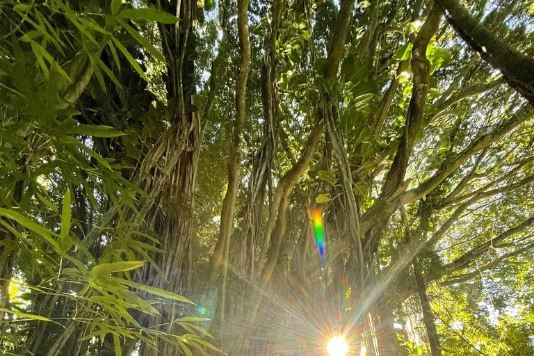 Waikiki: Verborgen Hawaii Waterval Wandeling en Strand Tour