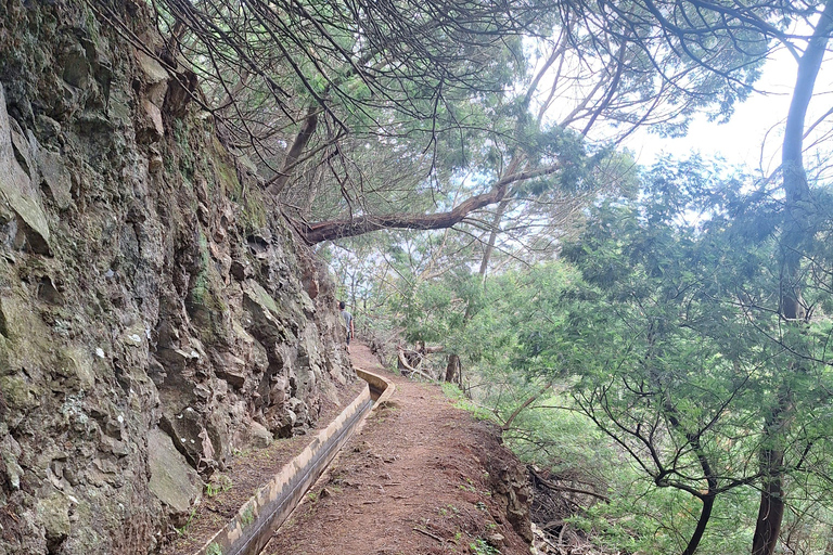 Madeira: Caniçal Levada Wanderung mit Poncha Verkostung