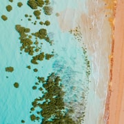 Broome: Dampier Peninsula Tour (Optional Scenic Flight)
