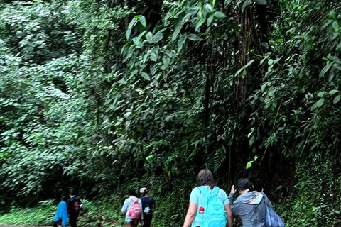 Cali: El Alemán Waterfall Hike in Farallones Park