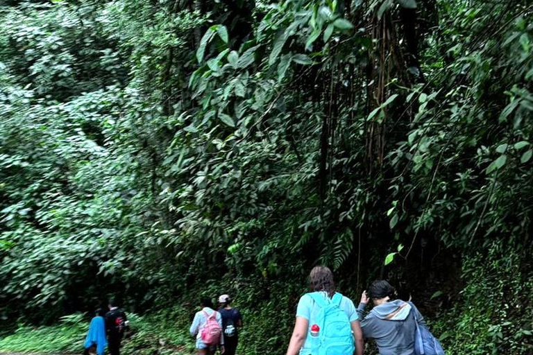 Cali: El Alemán Waterfall Hike in Farallones Park