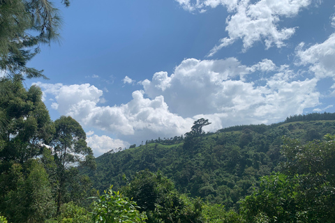 Monte Meru Arusha: Caminhada na cascata de Napuru por Kingstone Asilia