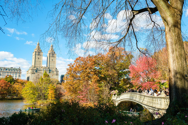 NYC: Central Park Pedicab Tour with Photo Stops 90 Minutes (6 Stops)