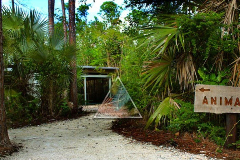 Freeport: Grand Bahama Culture, History & Local Flavors Tour Grand Bahama: City Tour with Tastings and Local Guide