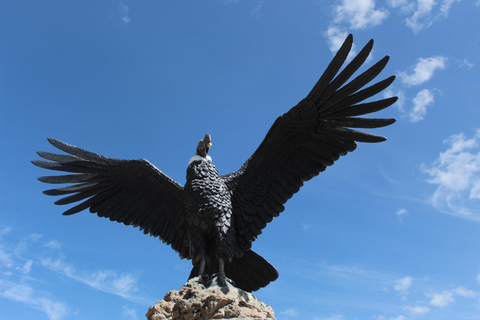 2 Days of Trekking through the Colca Canyon, Ending in Puno 2-Day Trekking in the Colca Canyon, ending in Puno