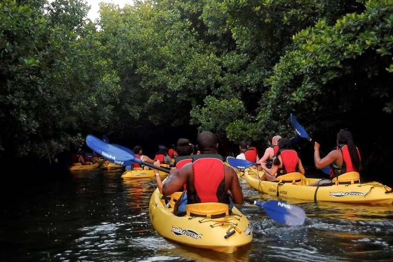 San Juan: El Yunque Rainforest en Bio Bay Combo Tour