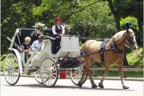NYC Private Central Park Horse Carriage Ride with Guide NYC VIP Christmas Light Horse Carriage Ride