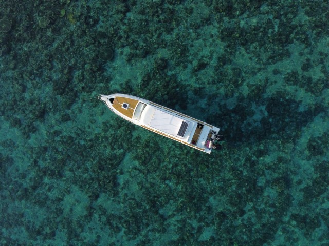 Visit Komodo Island Private Day Tour by Speedboat in Labuan Bajo