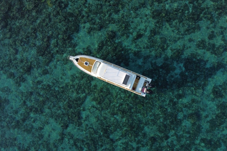 Die Insel Komodo: Private Tagestour mit dem Schnellboot