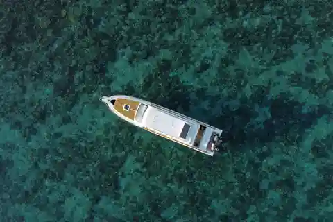 Komodo Island: Private Day Tour by Speedboat
