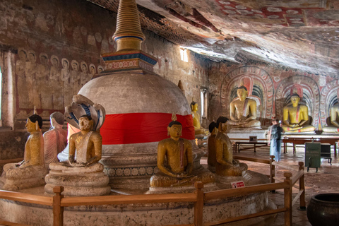 Sigiriya / Pidurangala & Dambulla Caves Tour by Local Expert