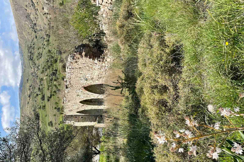 Onvergetelijke dag op safari van Paphos naar het Troodosgebergte