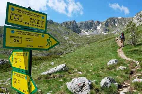 Desde Skopje Excursión a Ohrid y el Pico Magaro en la Montaña Galicica