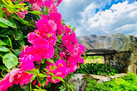 From Sofia: Exclusive Event - The Rose Festival in Kazanlak