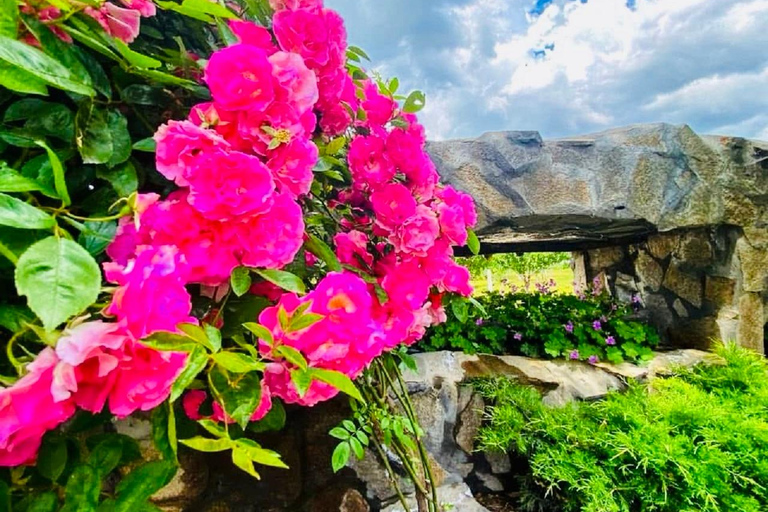 From Sofia: Exclusive Event - The Rose Festival in Kazanlak