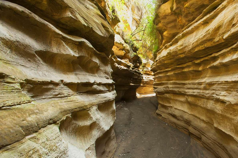 Dagtocht naar Lake Naivasha, Hell's Gate en Spa