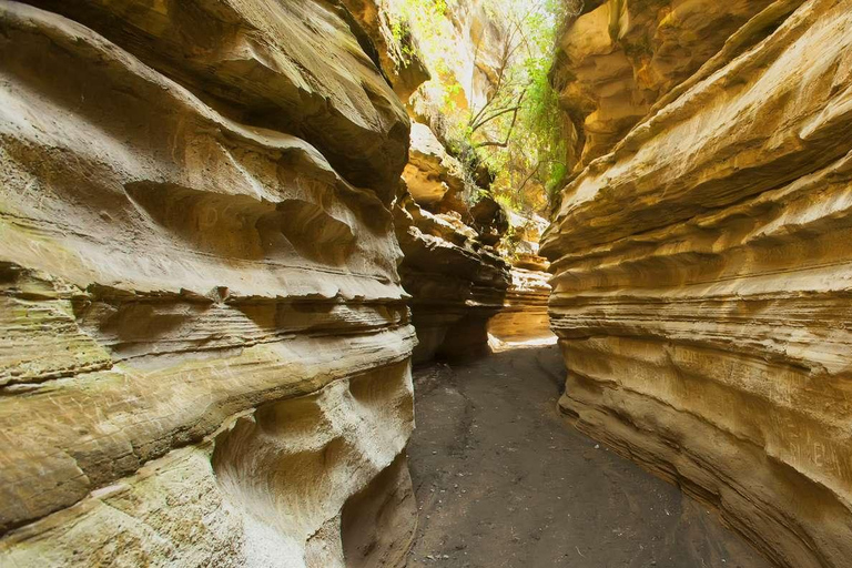 Dagtocht naar Lake Naivasha, Hell's Gate en Spa