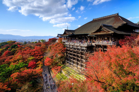 Kyoto: 3 patrimoni dell&#039;umanità UNESCO e tour di 1 giorno di Fushimi Inari