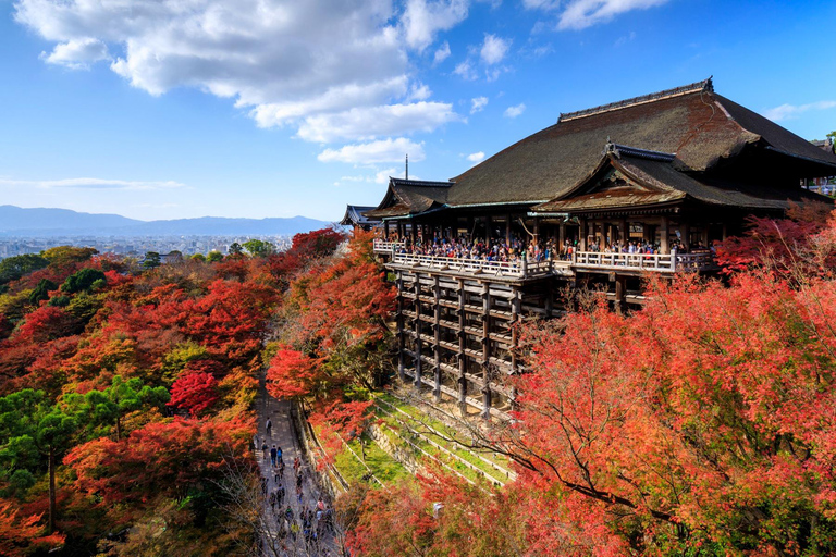 Kioto: 3 obiekty światowego dziedzictwa UNESCO i Fushimi Inari - 1-dniowa wycieczka