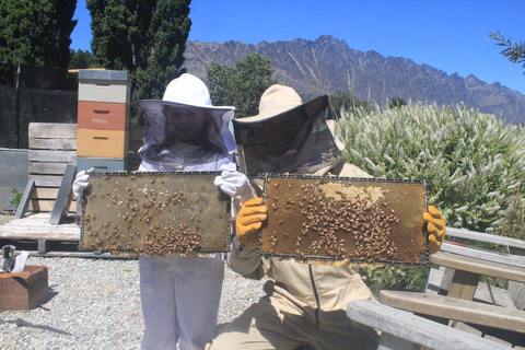 Queenstown: Meet the Bees and Manuka Honey Tasting Tour