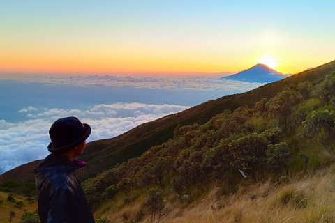 Quito: Private Cotopaxi National Park & Pasochoa Wildlife