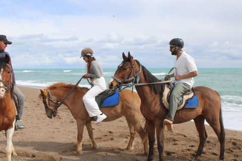 Antalya Forest and Beach Horseback Riding Tour Organization Sunset Tour Excluding Transport