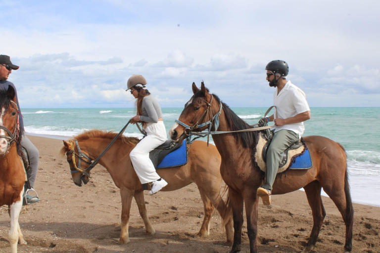 Antalya Forest and Beach Horseback Riding Tour Organization Sunset Tour Excluding Transport