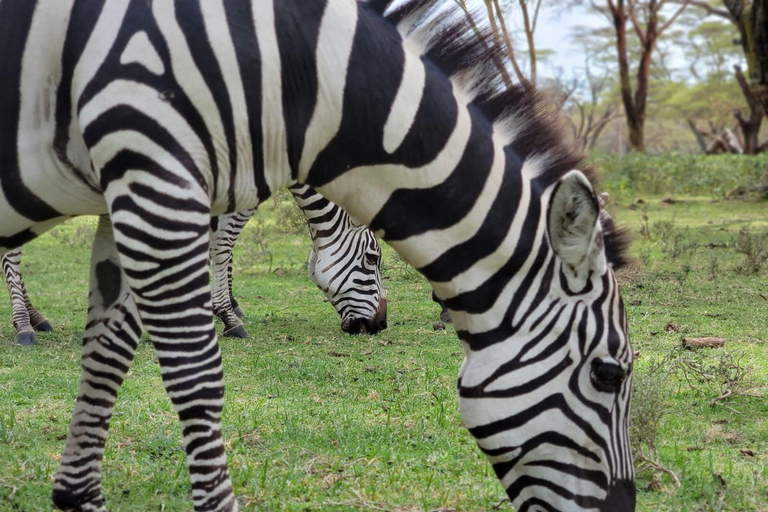 Nairobi National Park And Giraffe Center Afternoon Safari (Copy of) Nairobi National Park And Giraffe Center Afternoon Safari