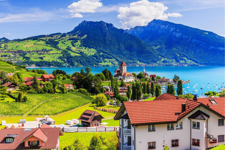 Interlaken: Privat biltur Schweiziska byar, huvudstad och slott