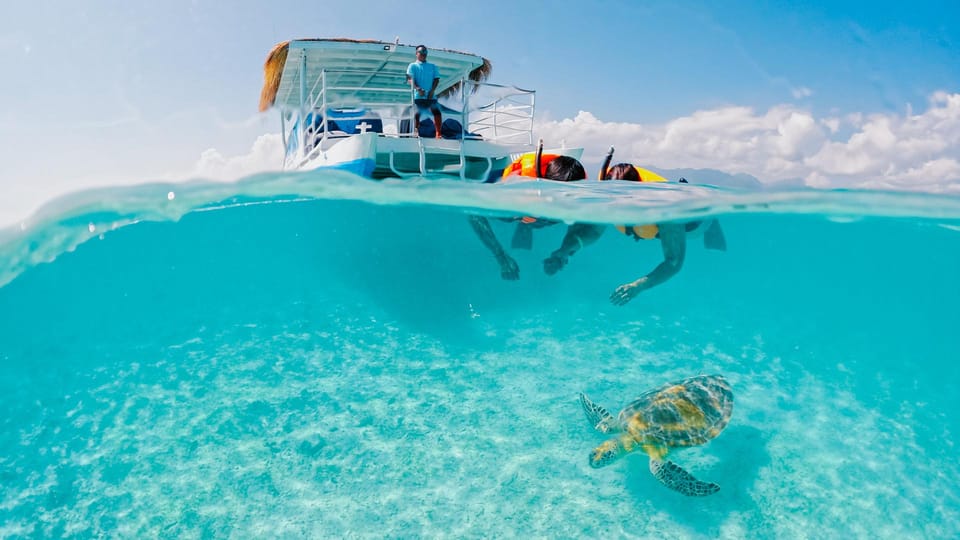 Croisière snorkeling avec tortues et barbecue