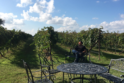 San Antonio: Fredericksburg Wineries Day Trip with Tastings Tour in English