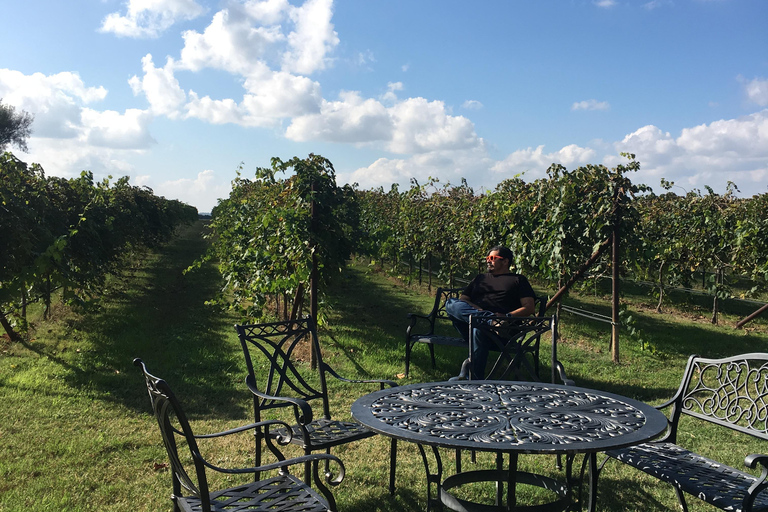 San Antonio: Fredericksburg Wineries Day Trip with Tastings Tour in English