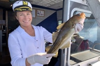Tromsø, Wildlife Bird Fjord Cruise avec déjeuner et boissons - Hizvo