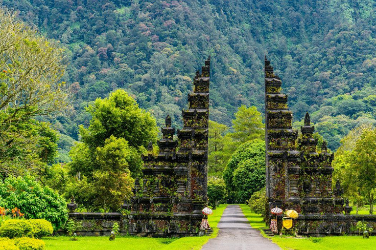 Bali: North Bali Waterfalls Private Tour with Guide