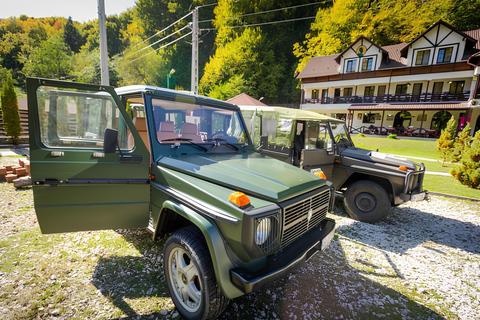 FÉRIAS TRANQUILAS NA VALEA VÂLSANULUI-BRĂDET